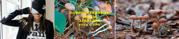 гидропоника Ельня