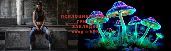 эйфоретик Елизово