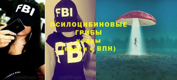 гидропоника Ельня