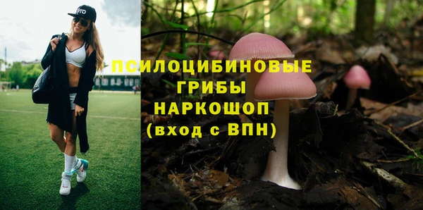 гидропоника Ельня