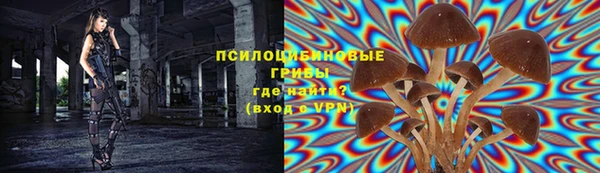 а пвп мука Елабуга