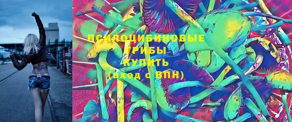 гидропоника Ельня