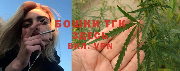 эйфоретик Елизово