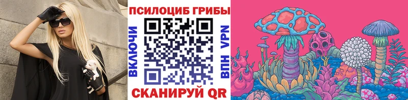 Купить закладки  Новоузенск  Галлюциногенные грибы Cubensis 