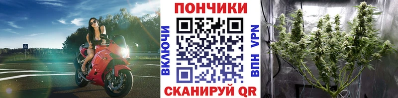 Шишки марихуана LSD WEED  Купить где  Новоузенск 